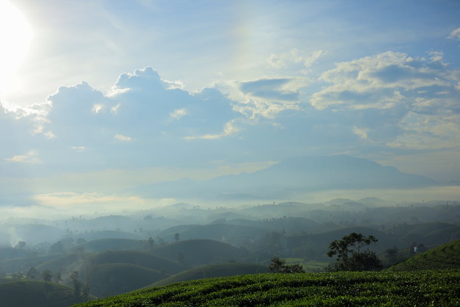 Курсы программирования и дизайна