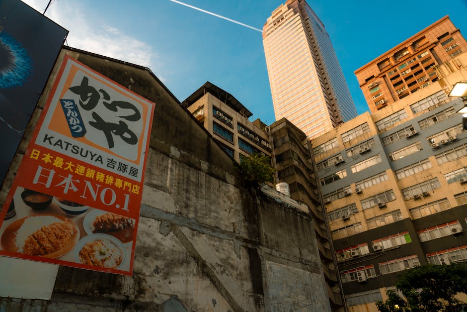 Курсы программирования и дизайна